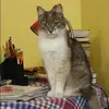 Отзыв от Оля Седова